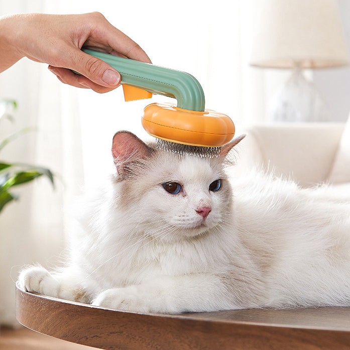 Cute Pumpkin Pet Grooming Comb