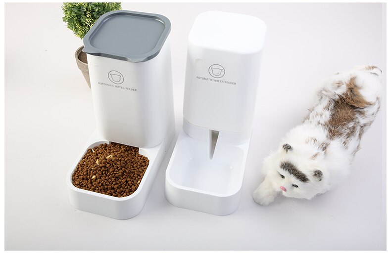 Steady-Feed Automatic Pet Feeder